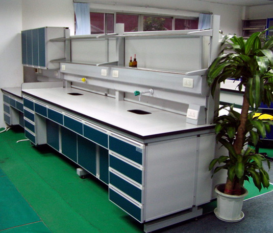 bhgood.com-lab 1(1).jpg