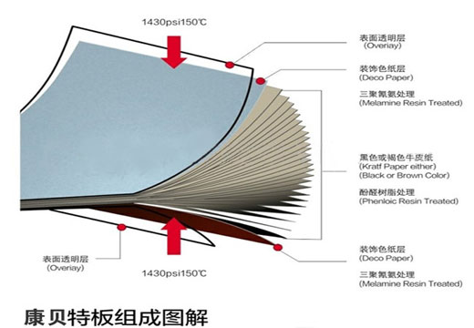 微信图片_20190321095102.jpg